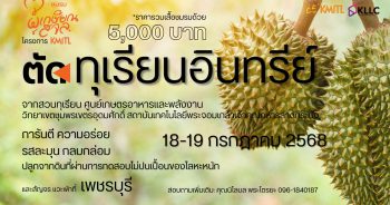 ตัดทุเรียนชุมพร