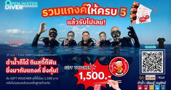 OPEN WATER DIVER หลักสูตรดำน้ำ